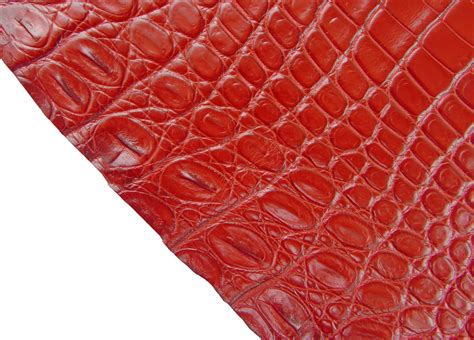 is crocodile leather ethical